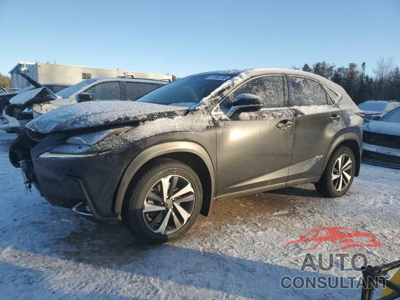 LEXUS NX 2020 - JTJHARDZ4L5012332