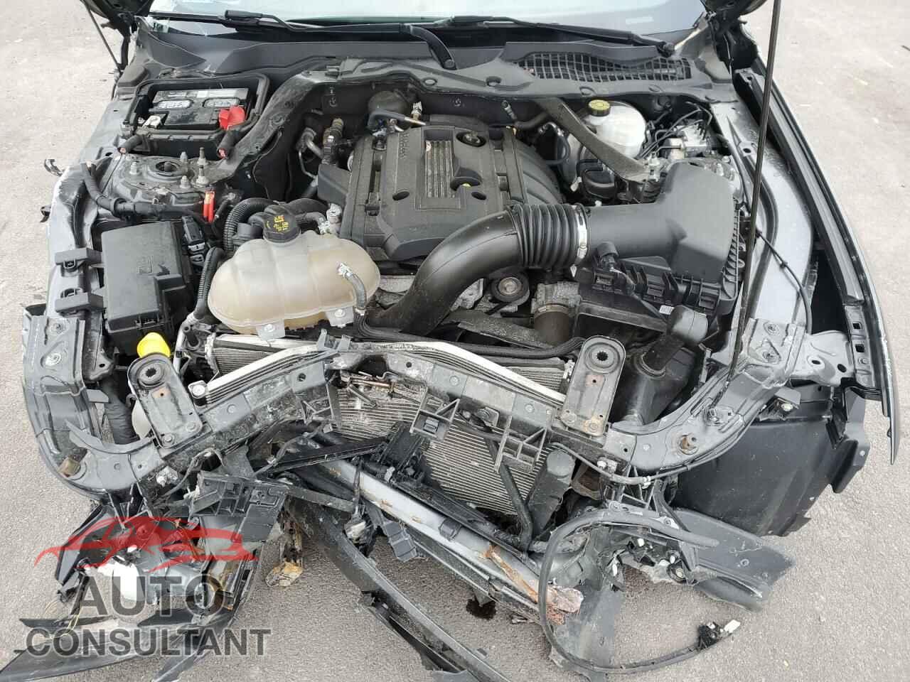FORD MUSTANG 2019 - 1FATP8UHXK5158770