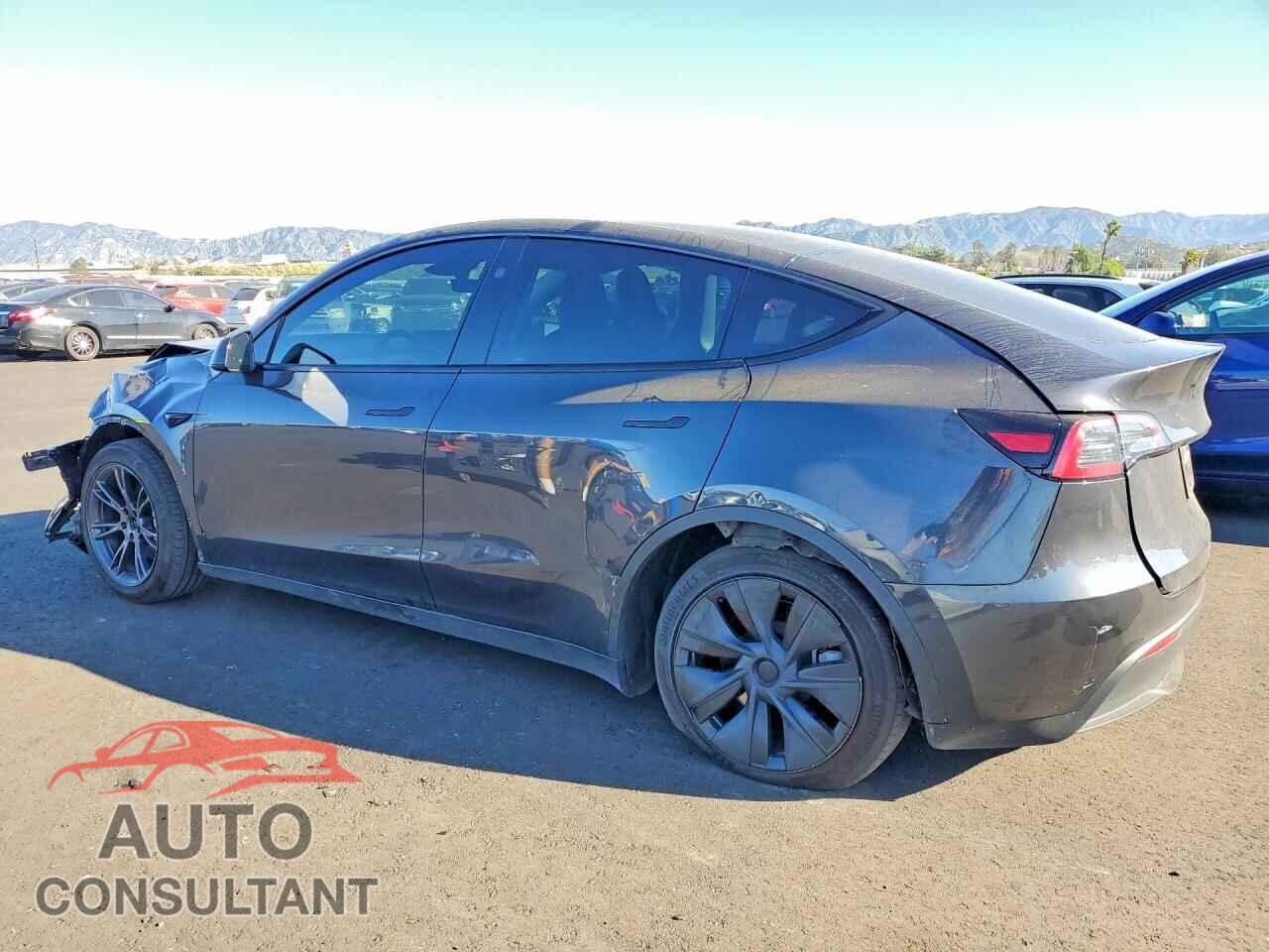 TESLA MODEL Y 2024 - 7SAYGDEE3RF194714