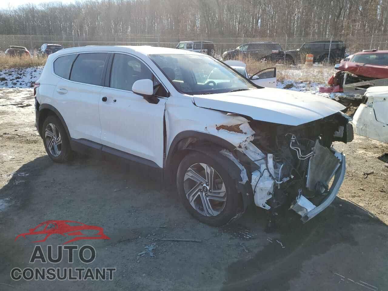 HYUNDAI SANTA FE 2021 - 5NMS14AJXMH365344