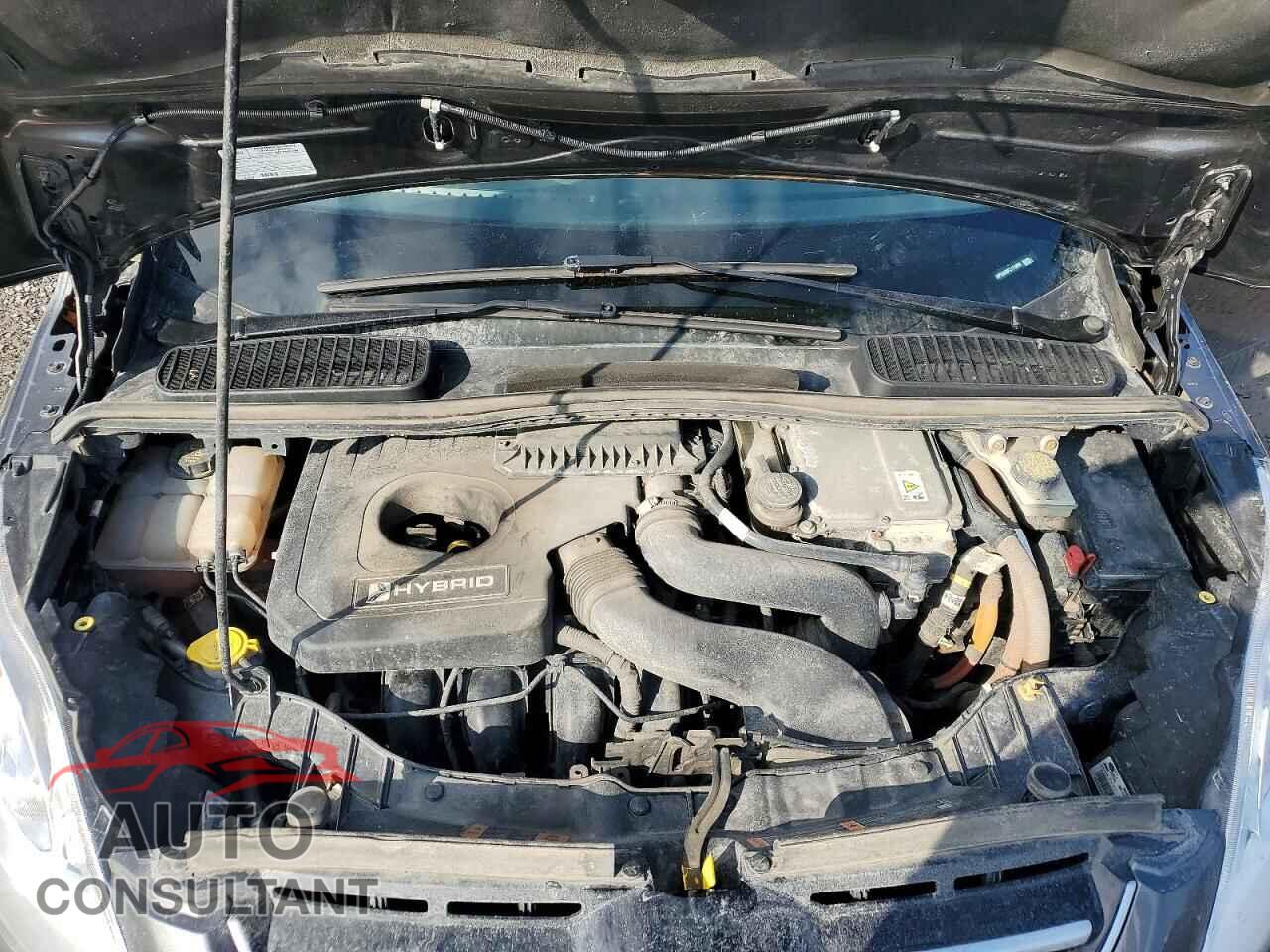 FORD CMAX 2015 - 1FADP5AU0FL111804