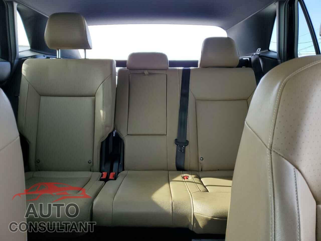 VOLKSWAGEN ATLAS 2020 - 1V21E2CA8LC211969