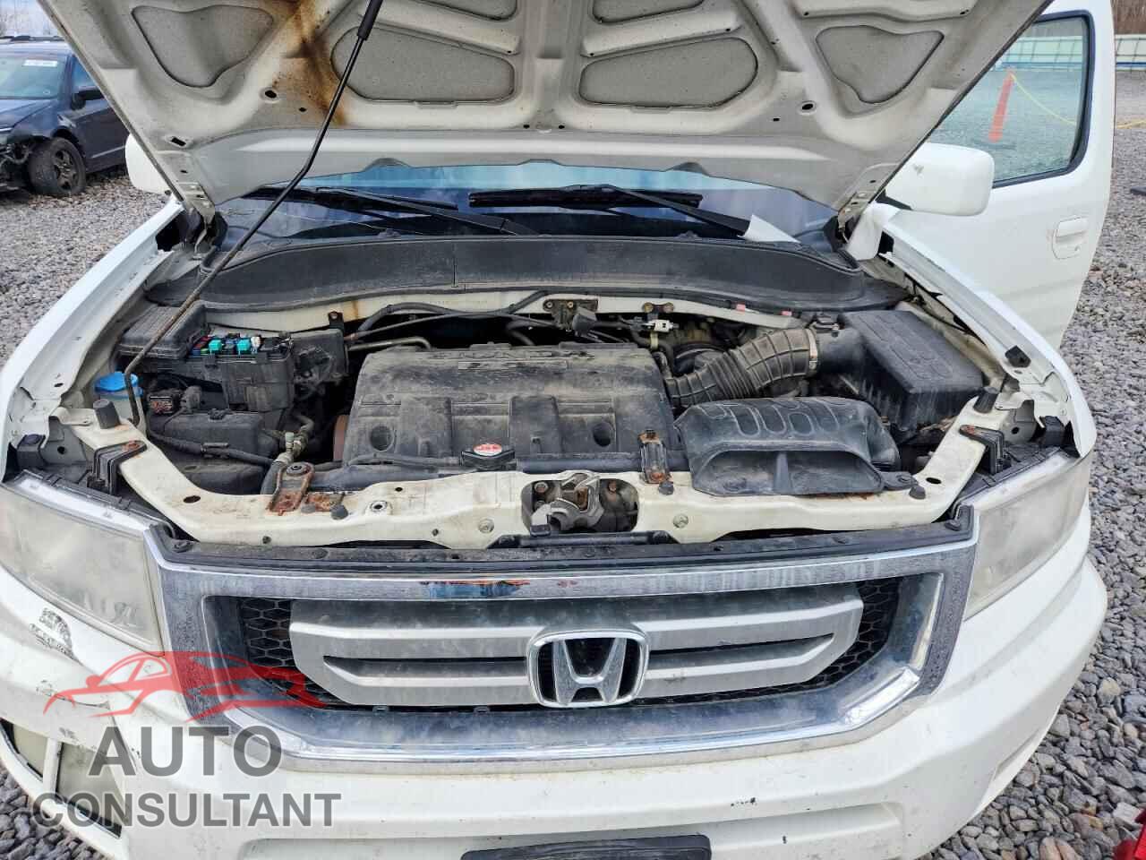 HONDA RIDGELINE 2009 - 5FPYK16559B108027