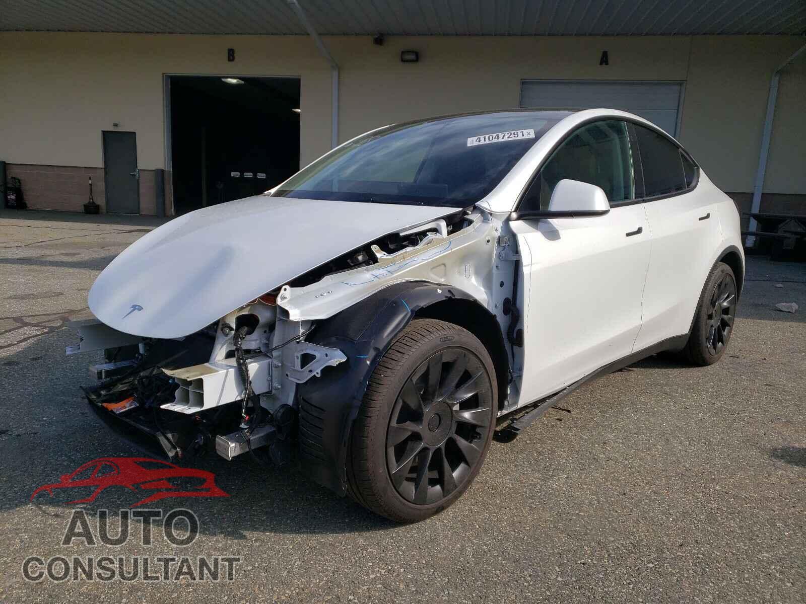 TESLA MODEL Y 2021 - 5YJYGDEE8MF143716