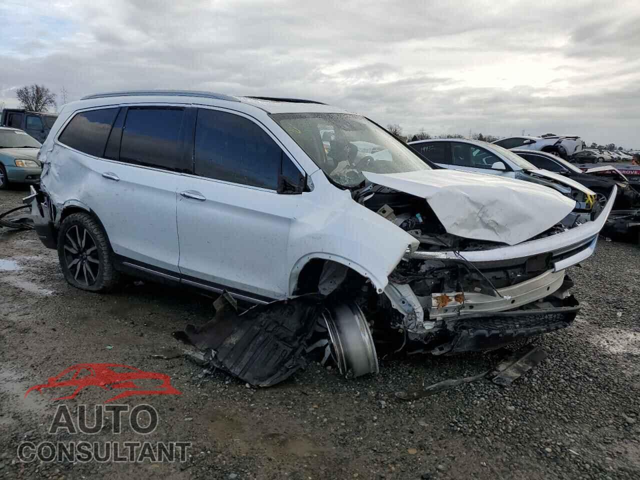 HONDA PILOT 2021 - 5FNYF6H03MB029766
