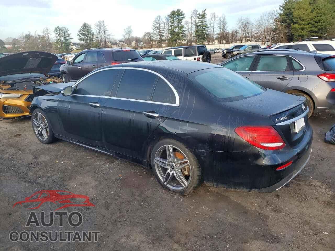 MERCEDES-BENZ E-CLASS 2019 - WDDZF4KB4KA690561
