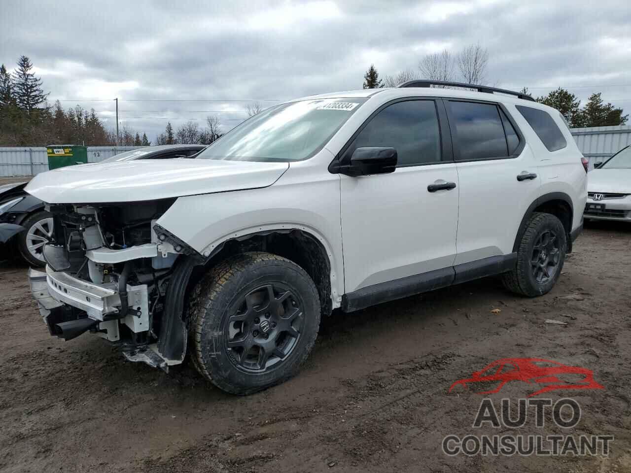 HONDA PILOT 2023 - 5FNYG1H64PB502177