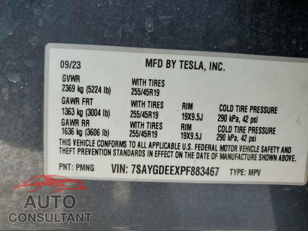 TESLA MODEL Y 2023 - 7SAYGDEEXPF883467