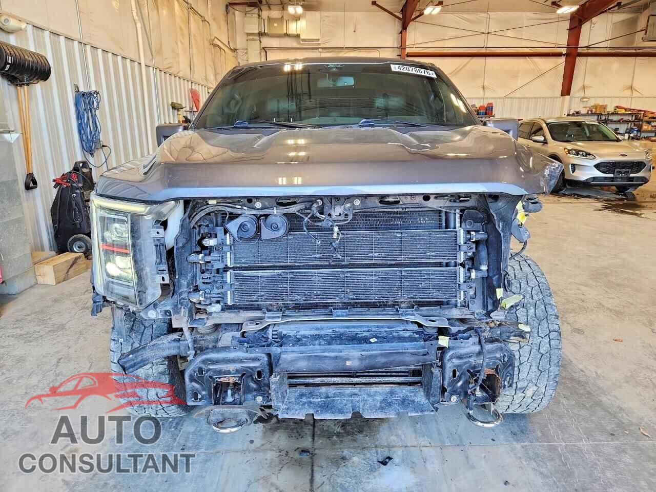 FORD F150 2021 - 1FTFW1ED5MFB13472