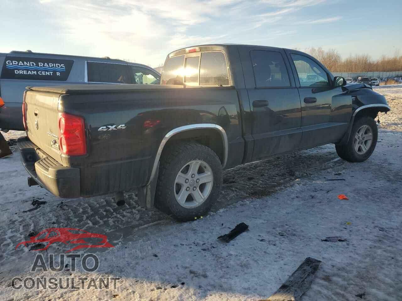 DODGE DAKOTA 2010 - 1D7CW3GP0AS264489