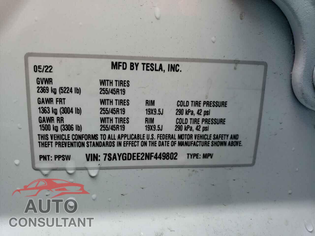 TESLA MODEL Y 2022 - 7SAYGDEE2NF449802