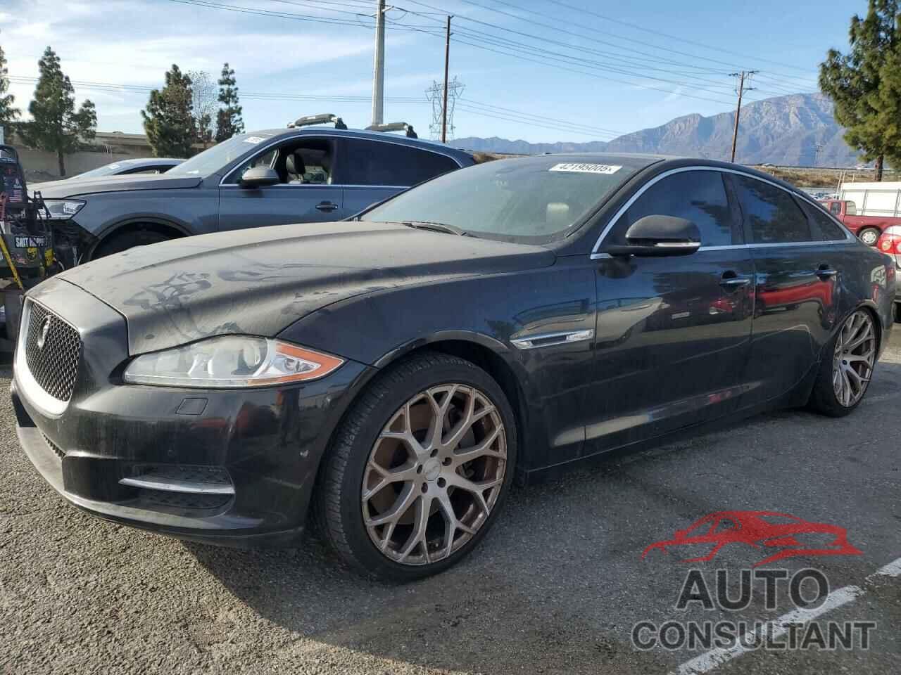 JAGUAR XJ 2015 - SAJWA3HT2FMV89272