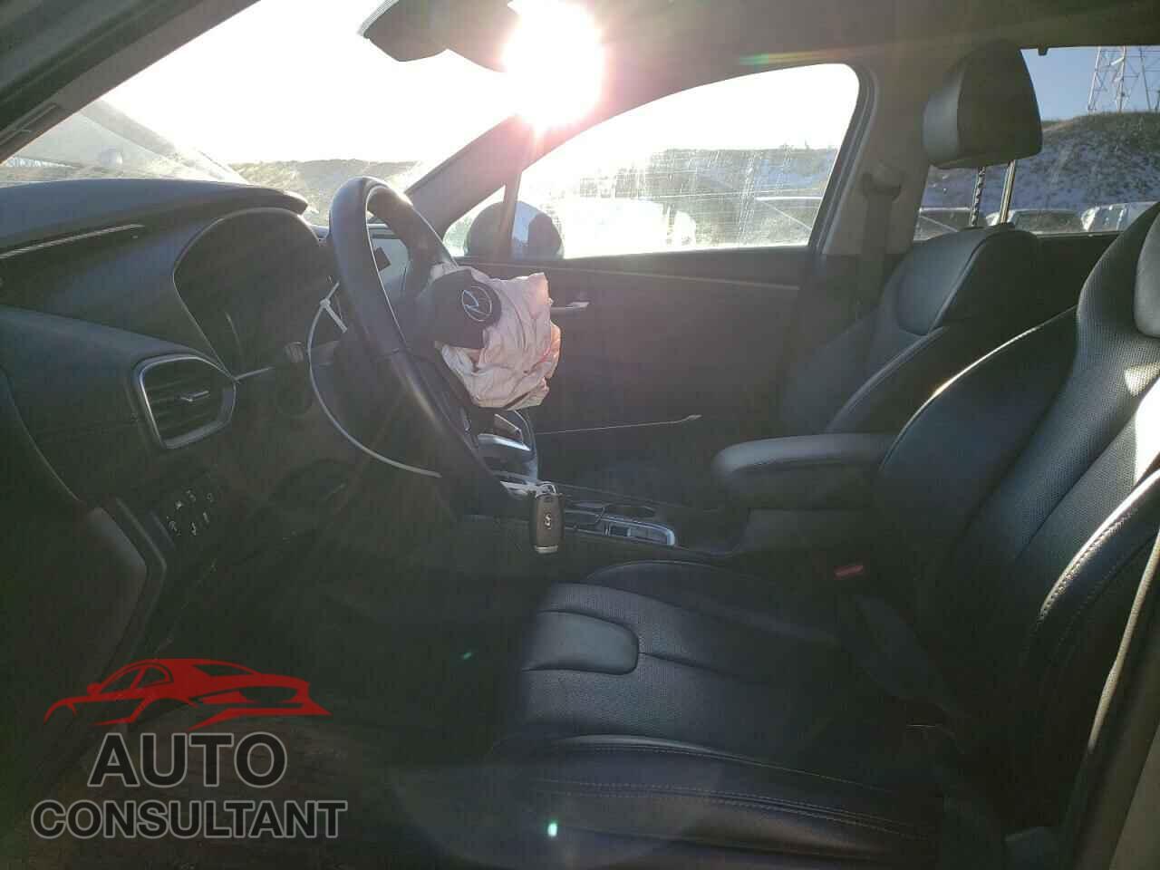 HYUNDAI SANTA FE 2019 - 5NMS5CAA2KH053515