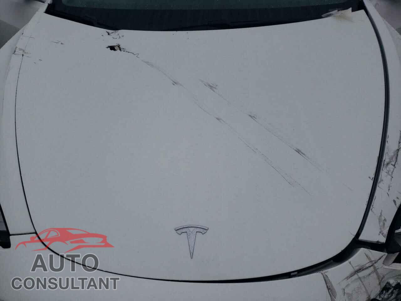 TESLA MODEL 3 2019 - 5YJ3E1EA8KF485000
