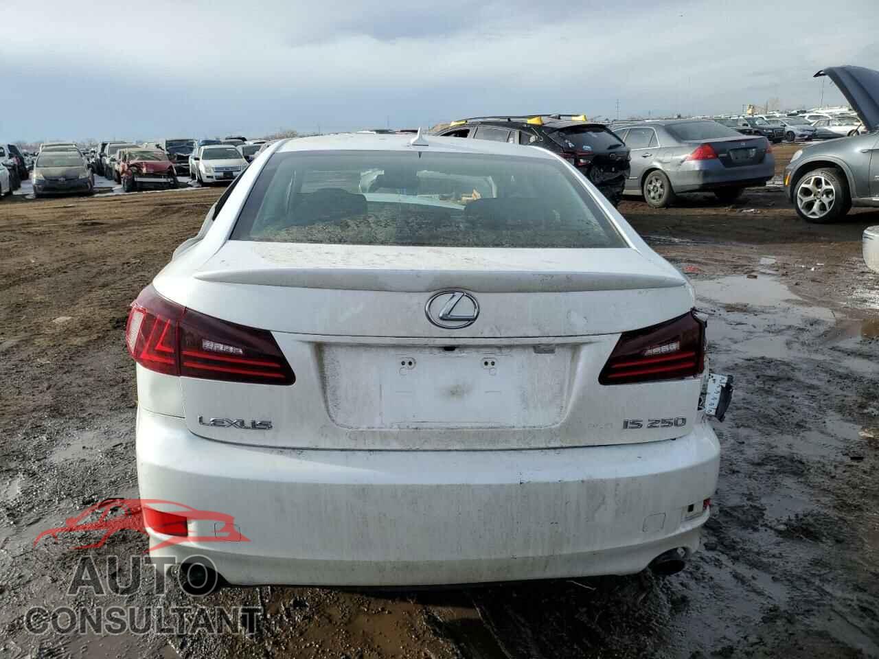 LEXUS IS 2010 - JTHCF5C27A5041198
