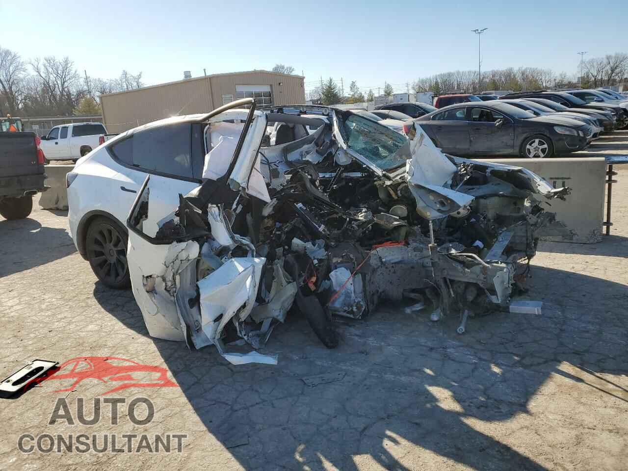 TESLA MODEL Y 2021 - 5YJYGDEE1MF253992