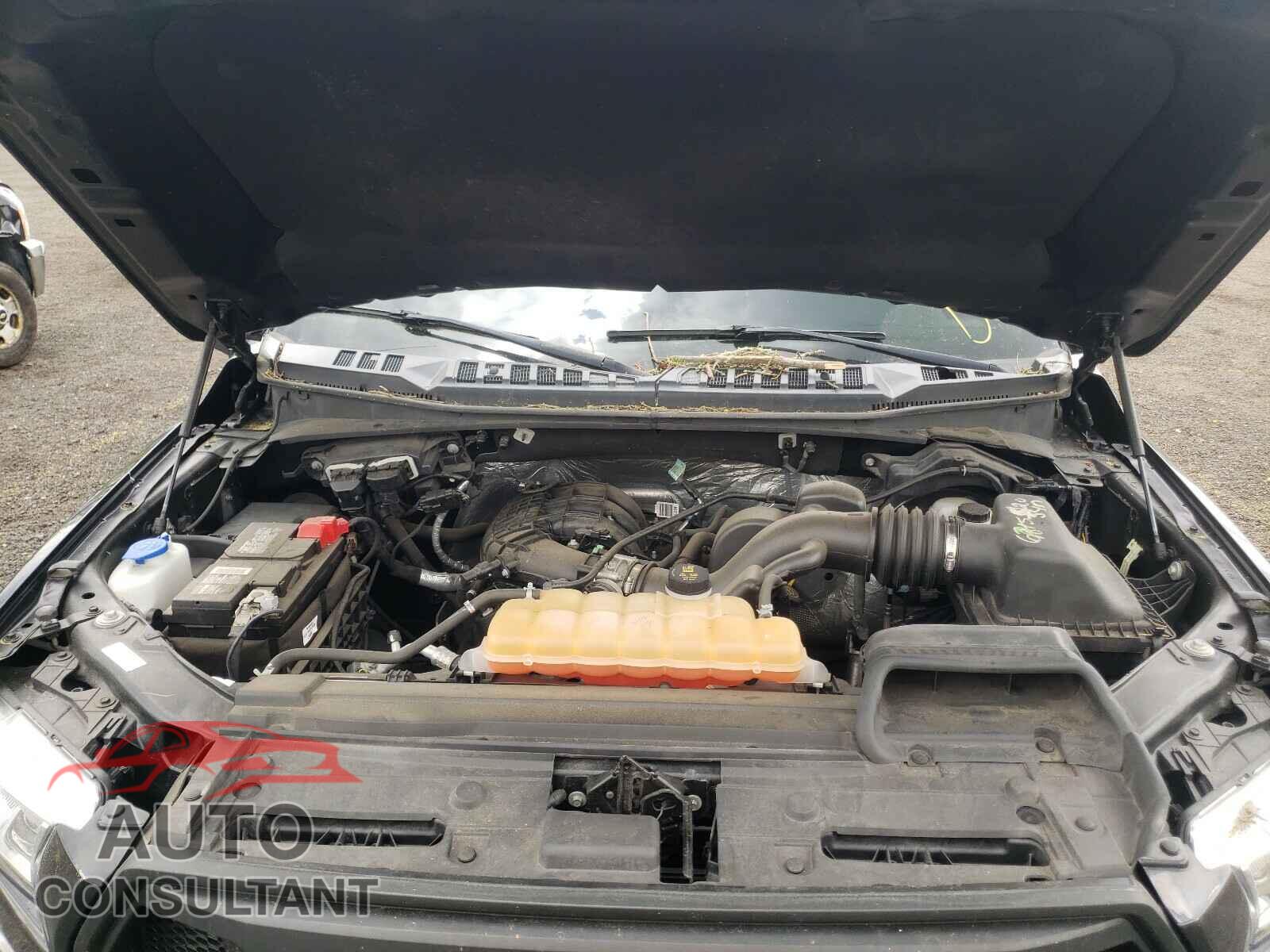 FORD F150 2016 - 1FTEX1E83GFB33543