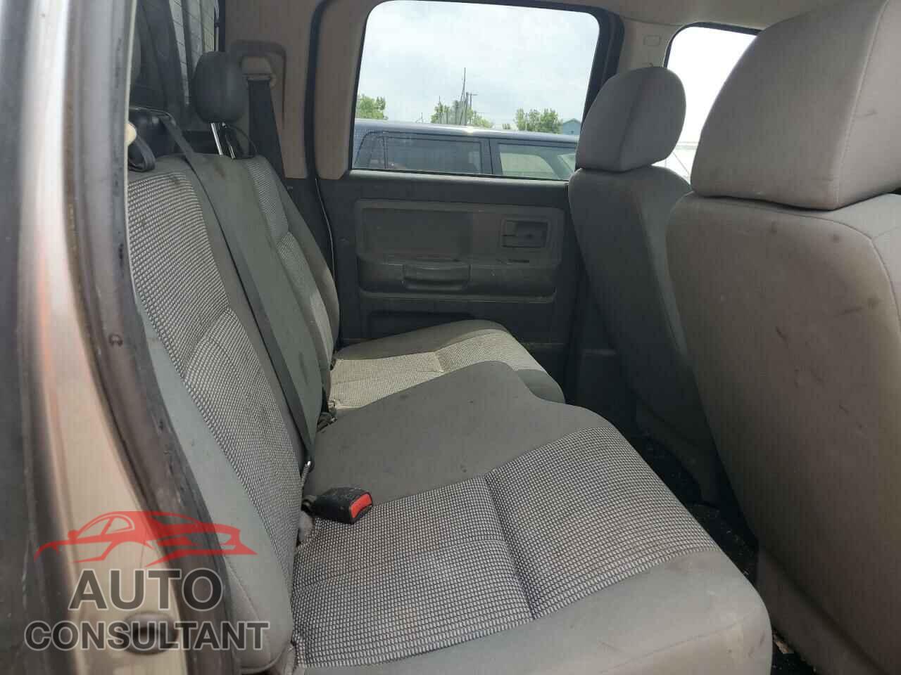DODGE DAKOTA 2010 - 1D7CE3GP2AS217337