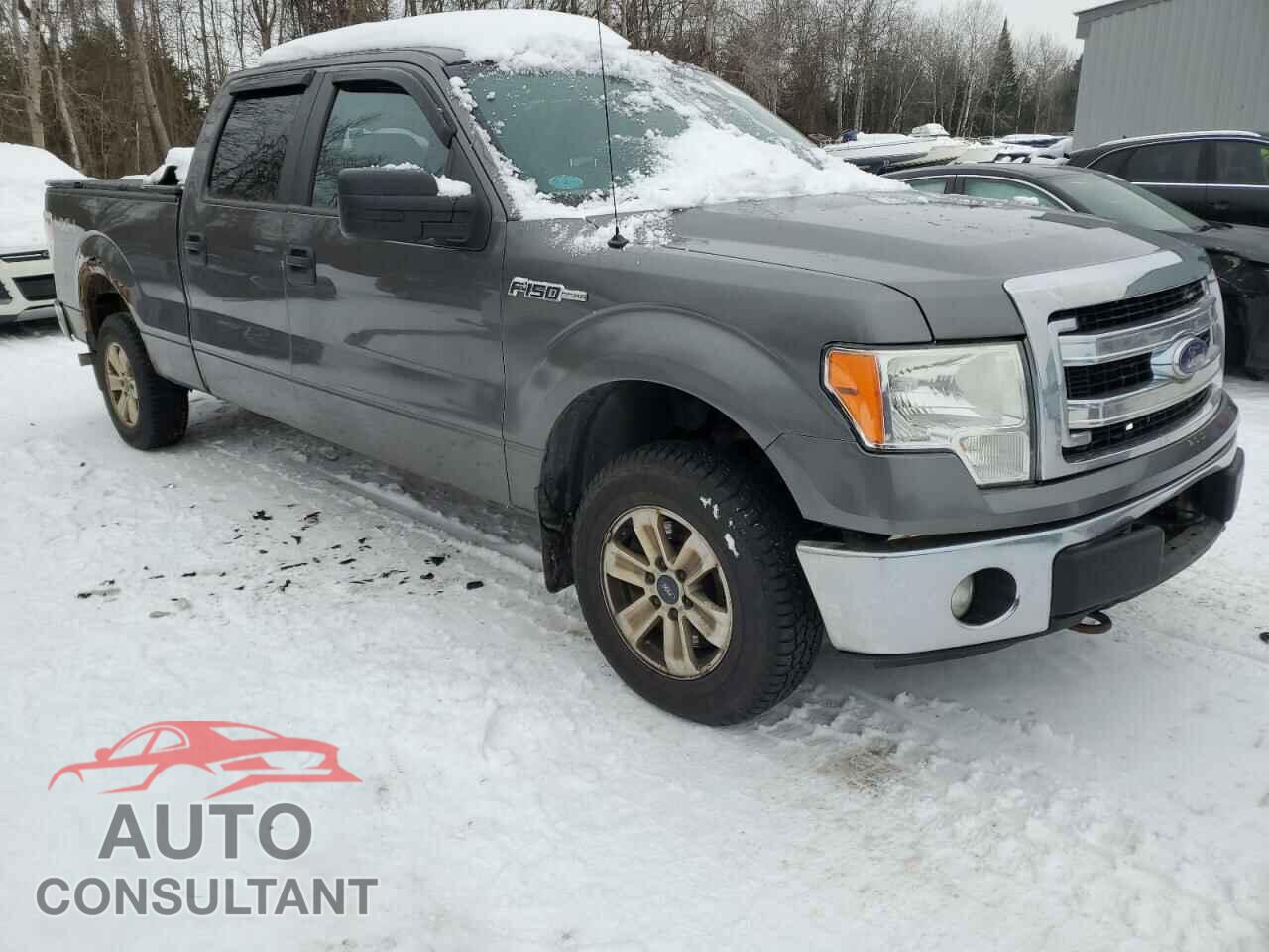 FORD F-150 2014 - 1FTFW1EF8EFC20194