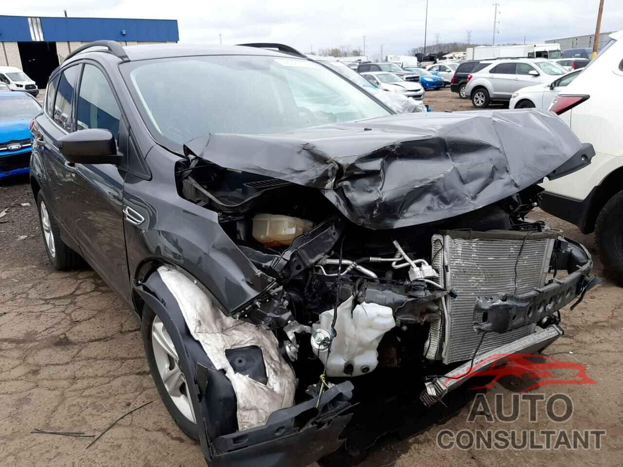 FORD ESCAPE 2016 - 1FMCU0GX8GUB35861