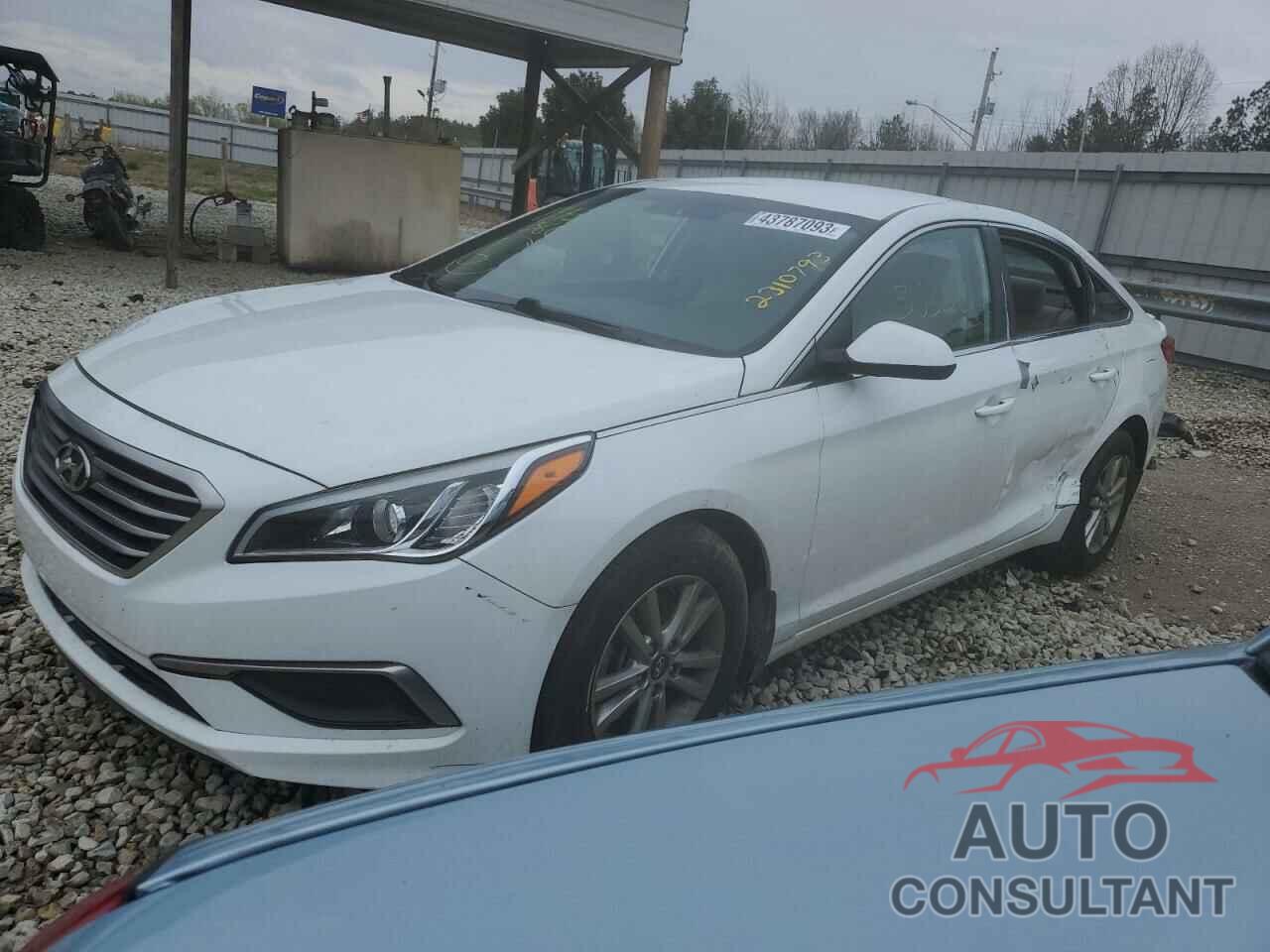 HYUNDAI SONATA 2016 - 5NPE24AF1GH275867