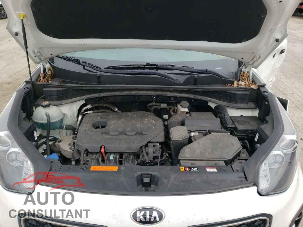 KIA SPORTAGE 2019 - KNDPMCAC2K7612496
