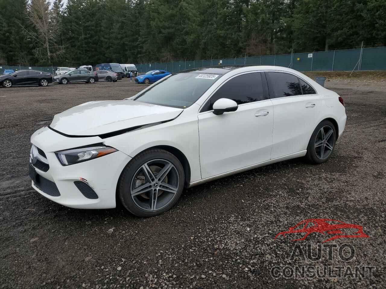 MERCEDES-BENZ A-CLASS 2019 - WDD3G4FB0KW000546