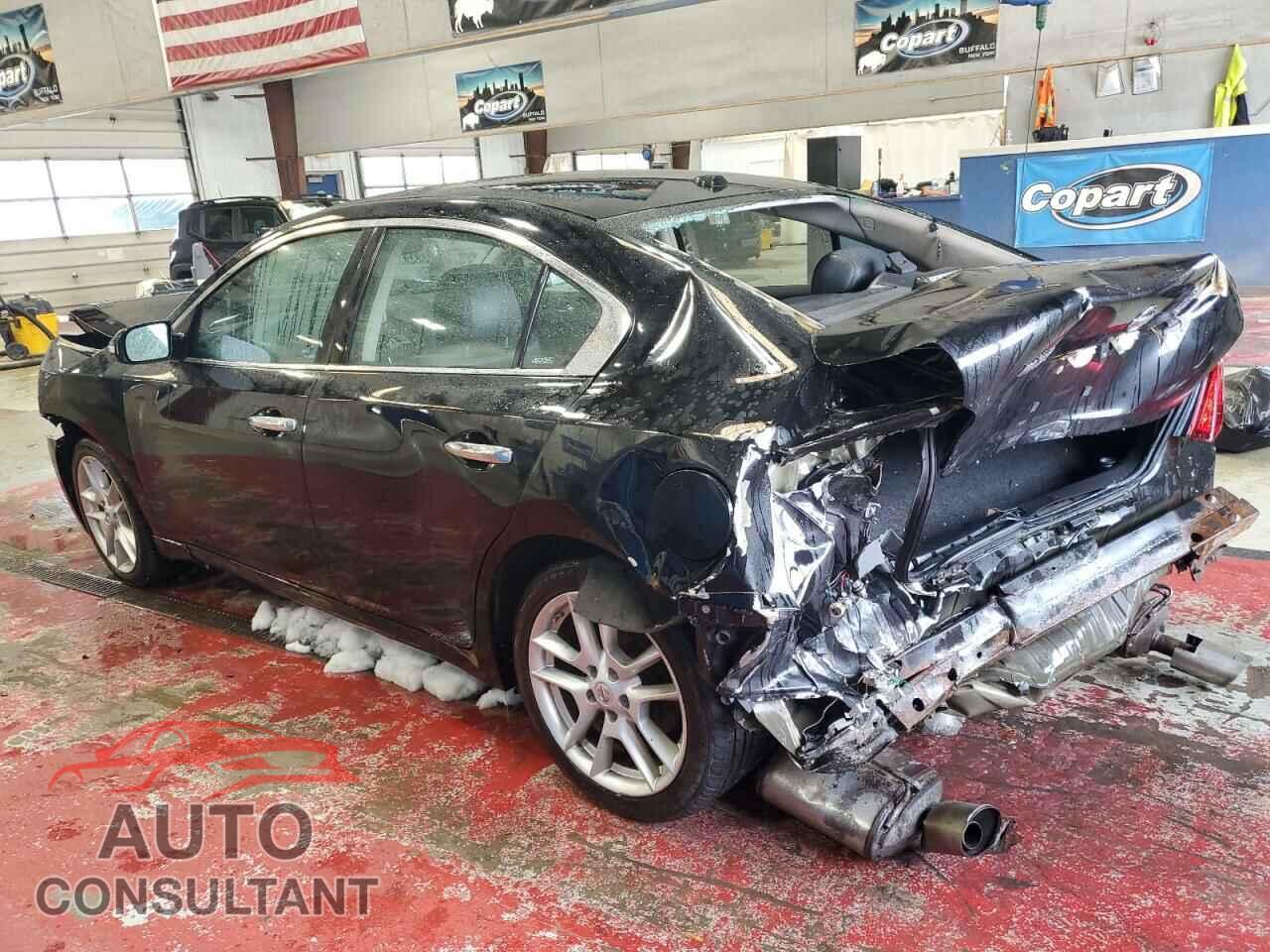 NISSAN MAXIMA 2010 - 1N4AA5AP7AC851373