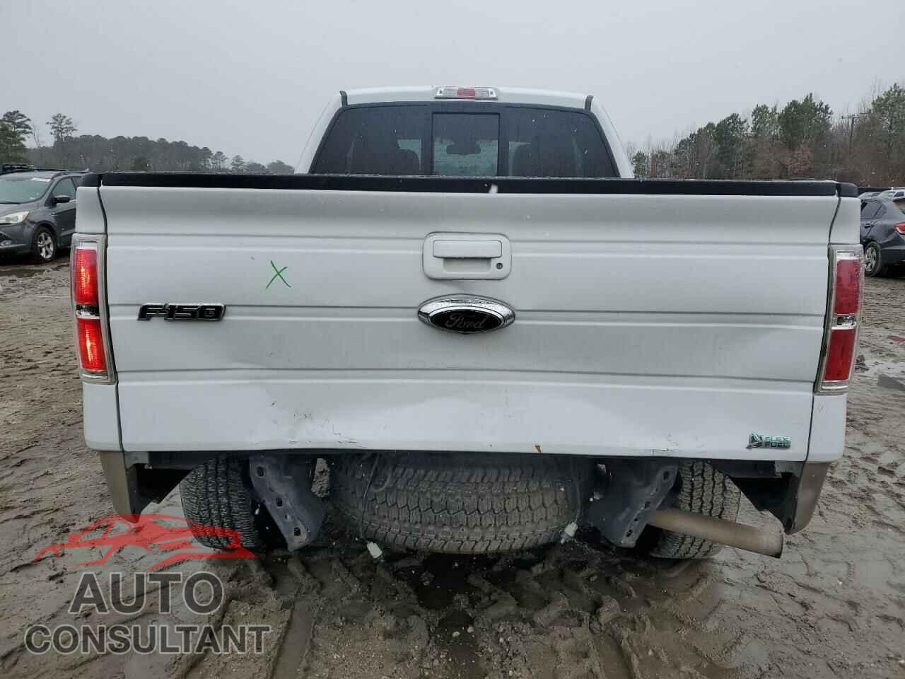 FORD F-150 2010 - 1FTFX1EV9AFD23445