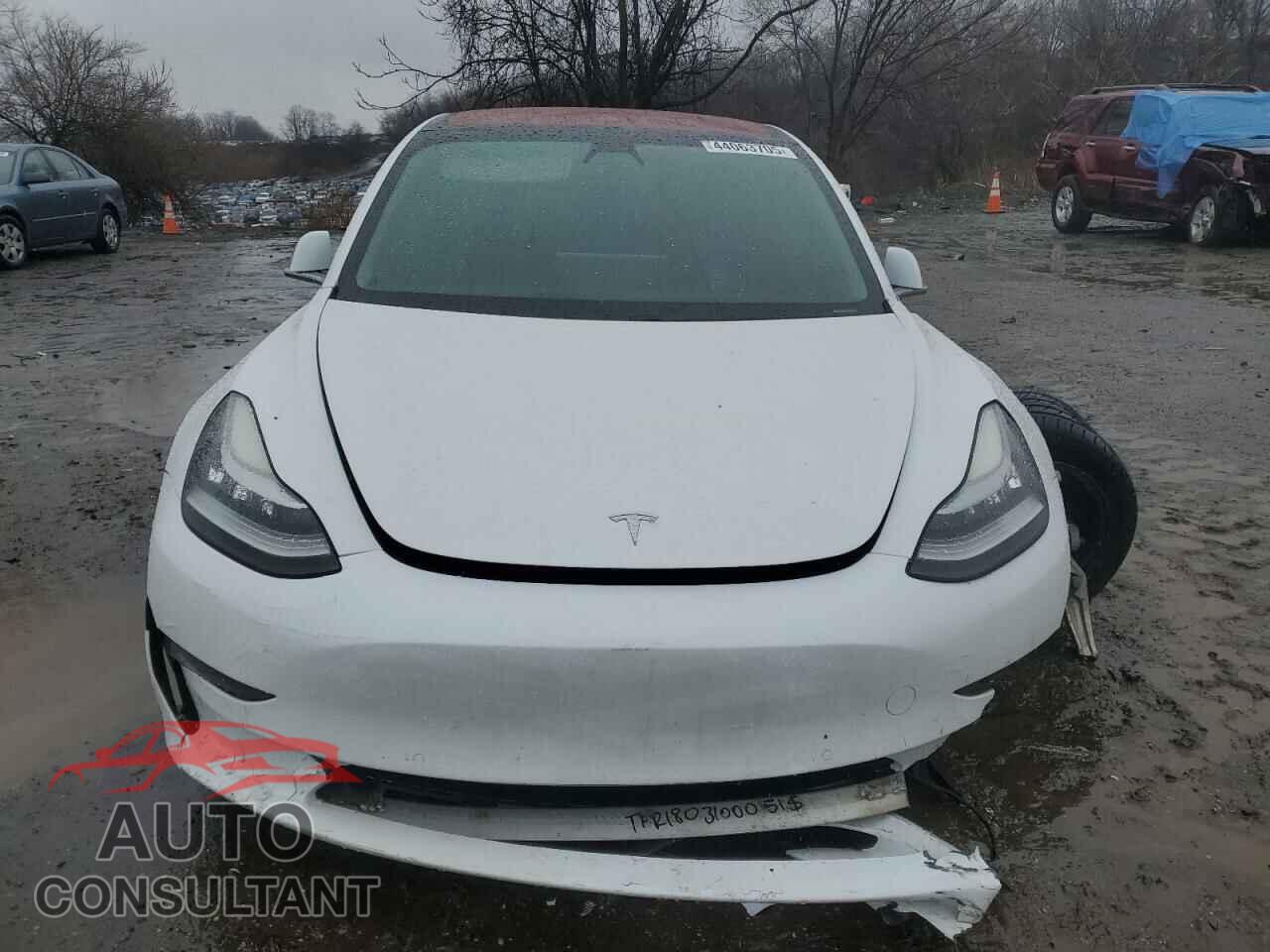 TESLA MODEL 3 2018 - 5YJ3E1EA4JF005694