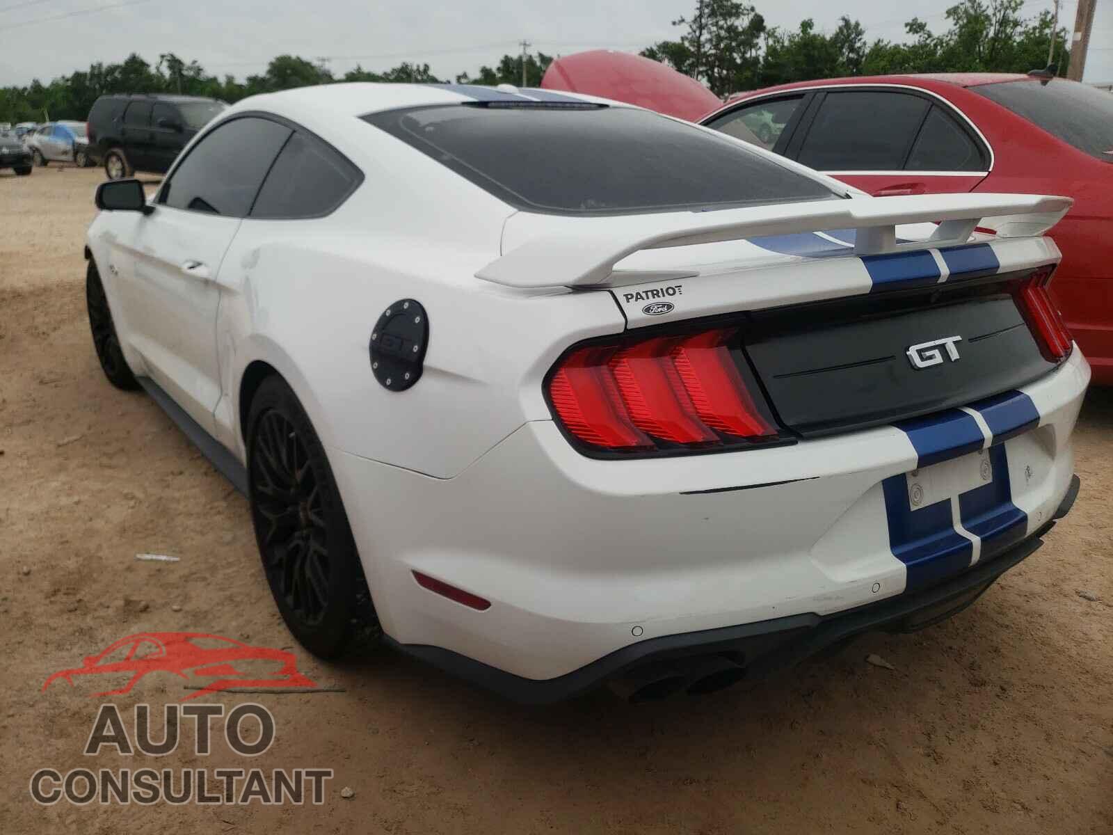 FORD MUSTANG 2019 - 1FA6P8CF1K5135892