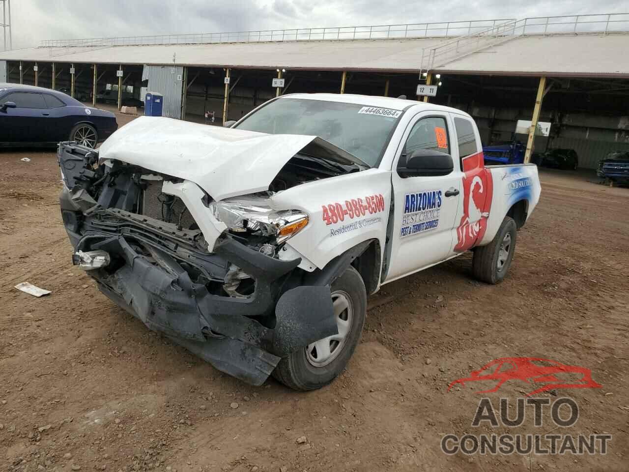 TOYOTA TACOMA 2022 - 3TYRX5GN5NT056011