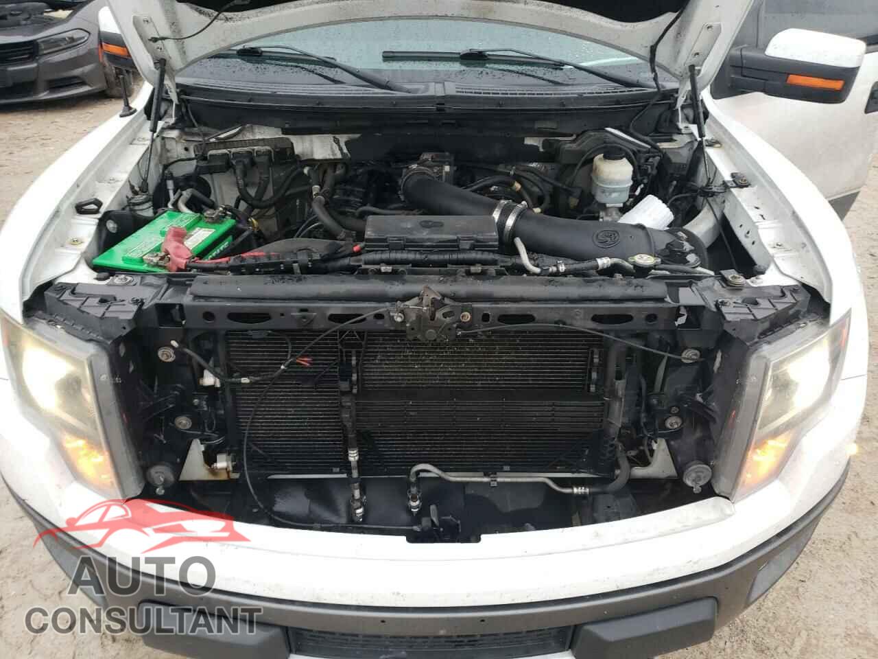 FORD F150 2013 - 1FTFW1R64DFD98256