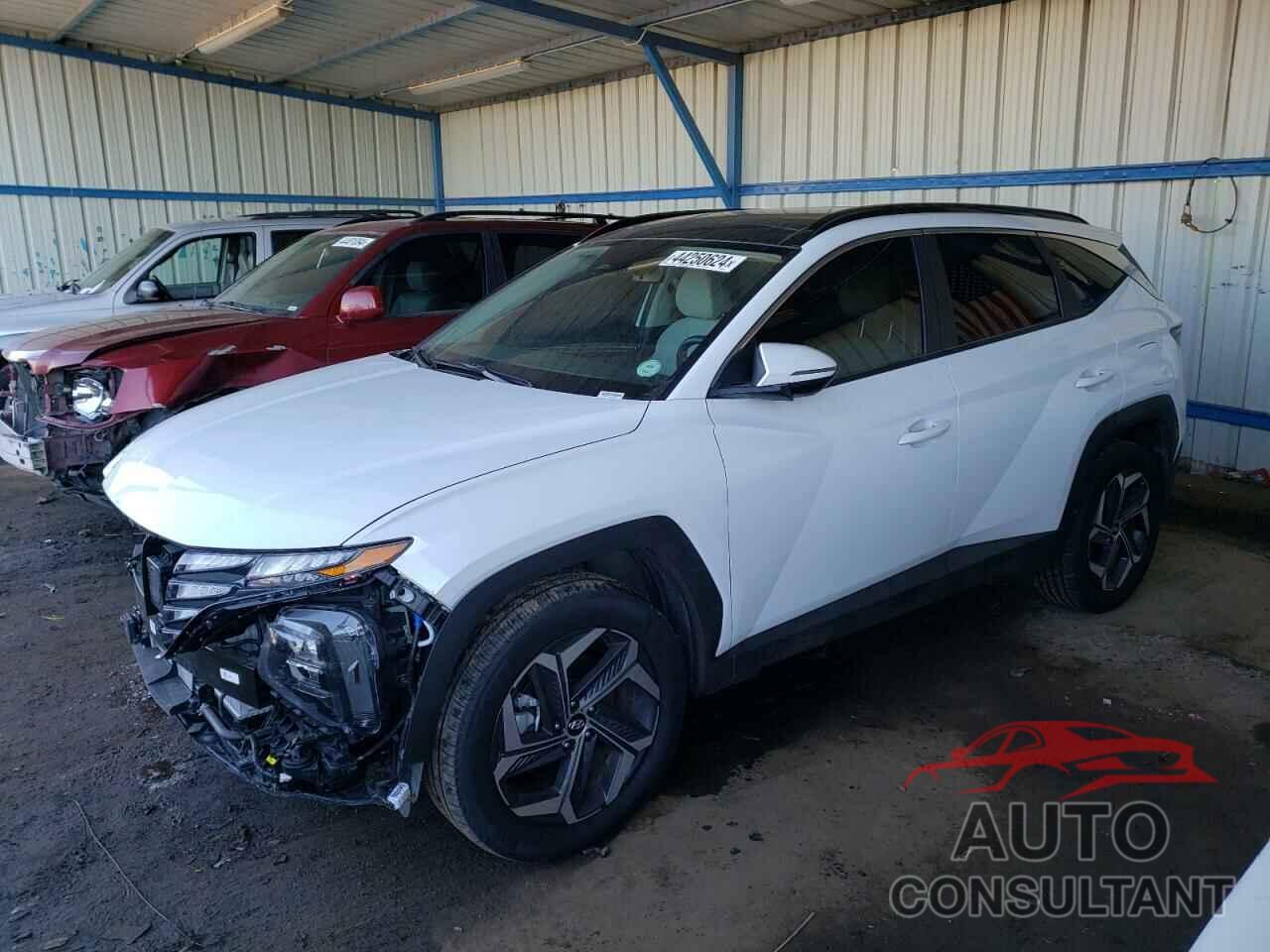 HYUNDAI TUCSON 2023 - KM8JFCA10PU134761