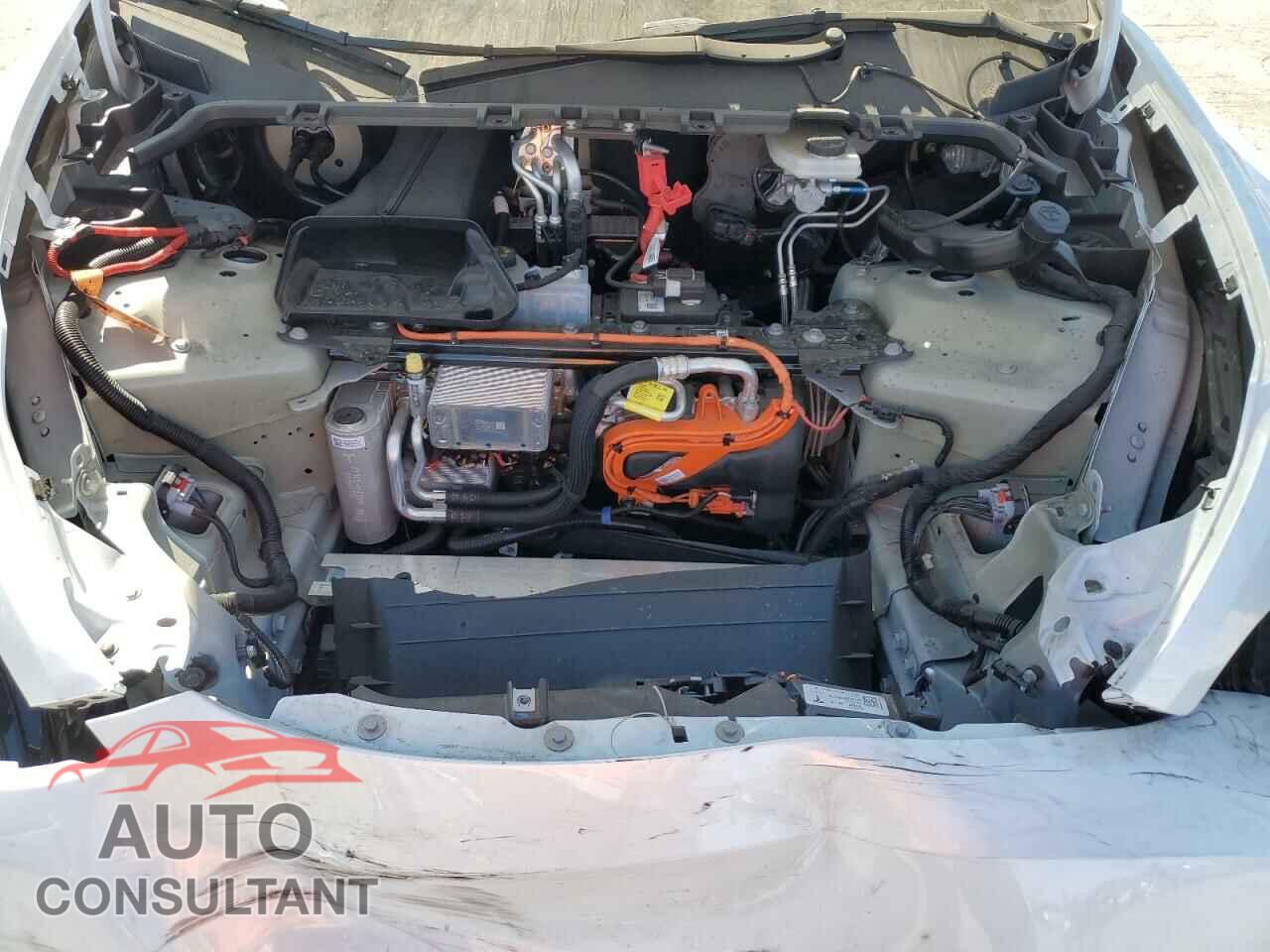 TESLA MODEL Y 2024 - 7SAYGDED5RF196309