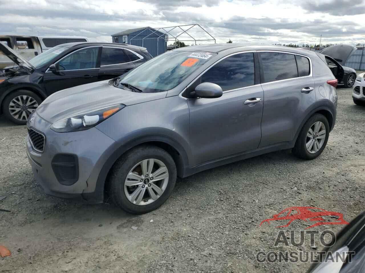 KIA SPORTAGE 2017 - KNDPM3AC3H7086758