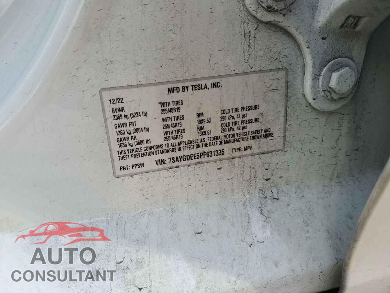 TESLA MODEL Y 2023 - 7SAYGDEE5PF631335