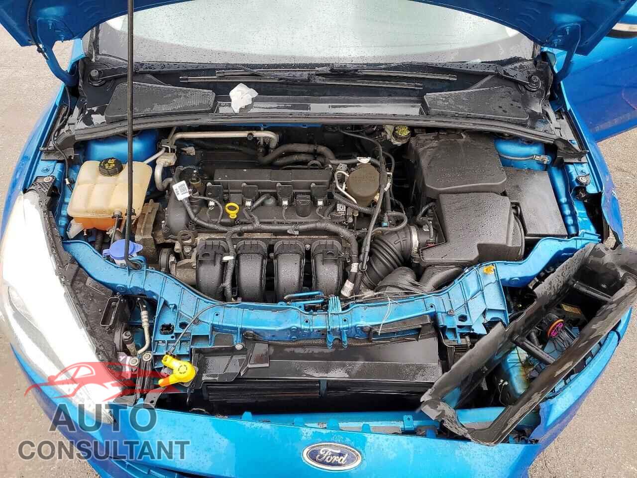 FORD FOCUS 2016 - 1FADP3F23GL251410