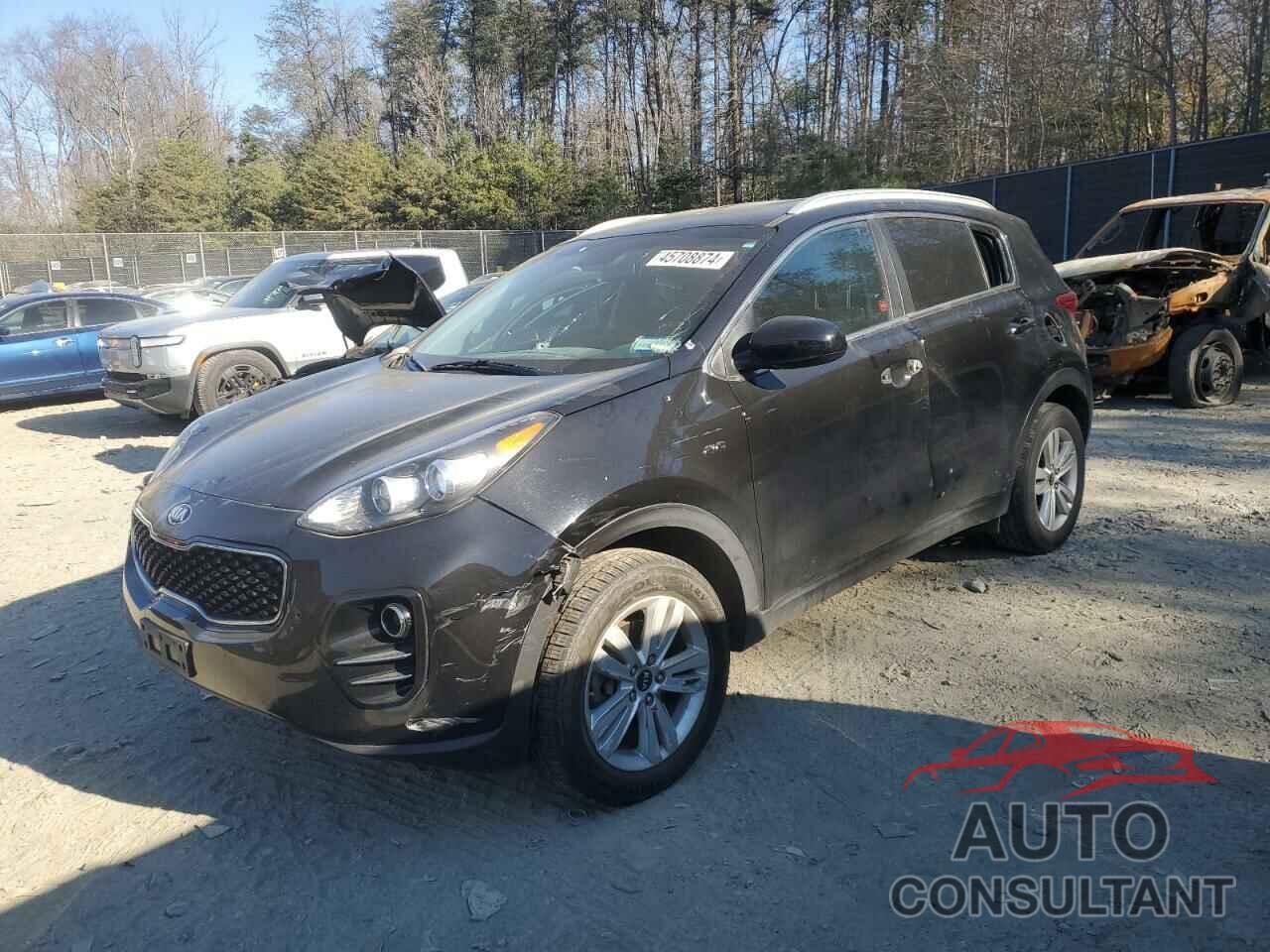 KIA SPORTAGE 2019 - KNDPMCAC8K7497399
