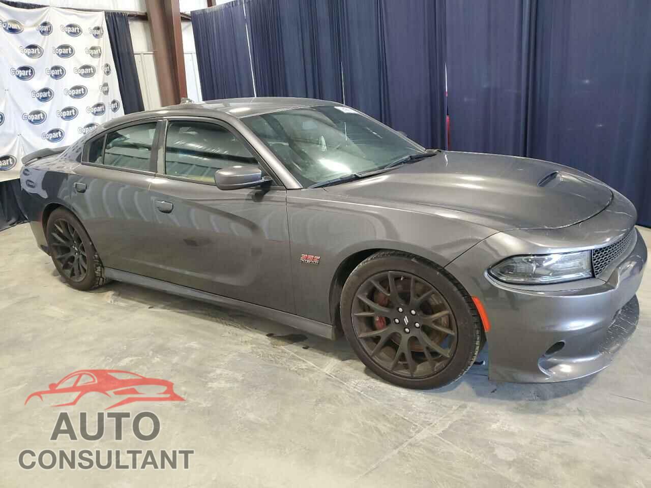 DODGE CHARGER 2018 - 2C3CDXGJ2JH336629