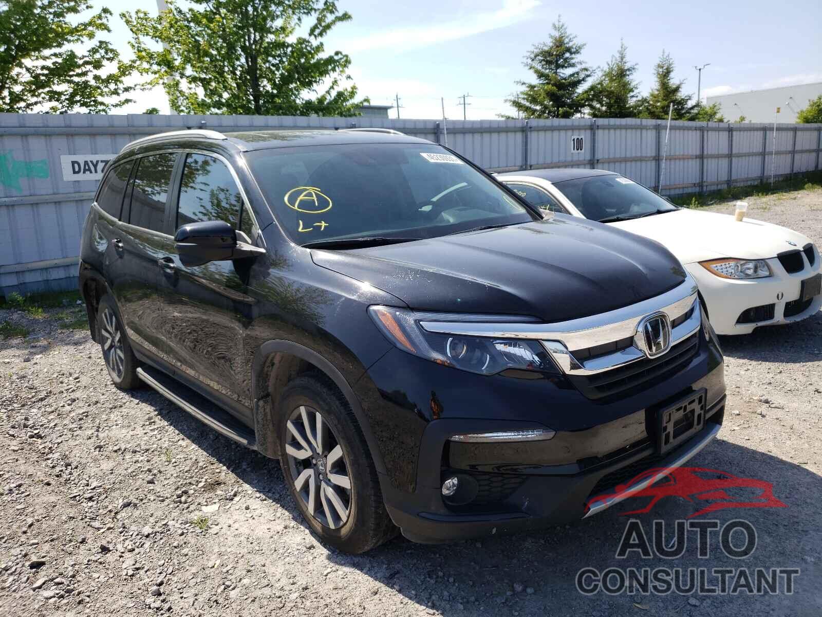 HONDA PILOT 2019 - 5FNYF6H7XKB505120