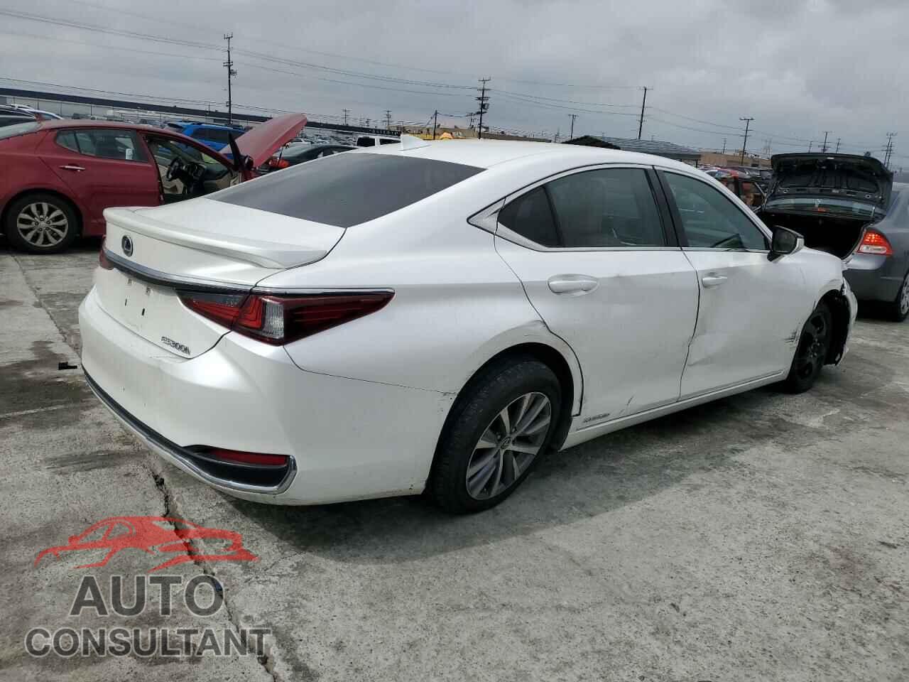 LEXUS ES300 2020 - 58AC21B16LU010326