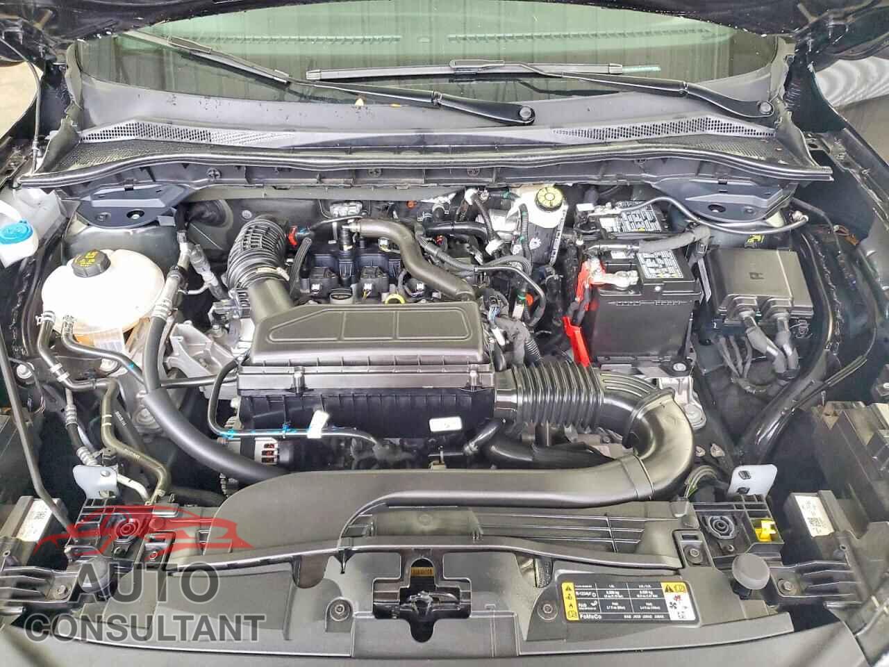 FORD ESCAPE 2025 - 1FMCU0MNXSUB42984