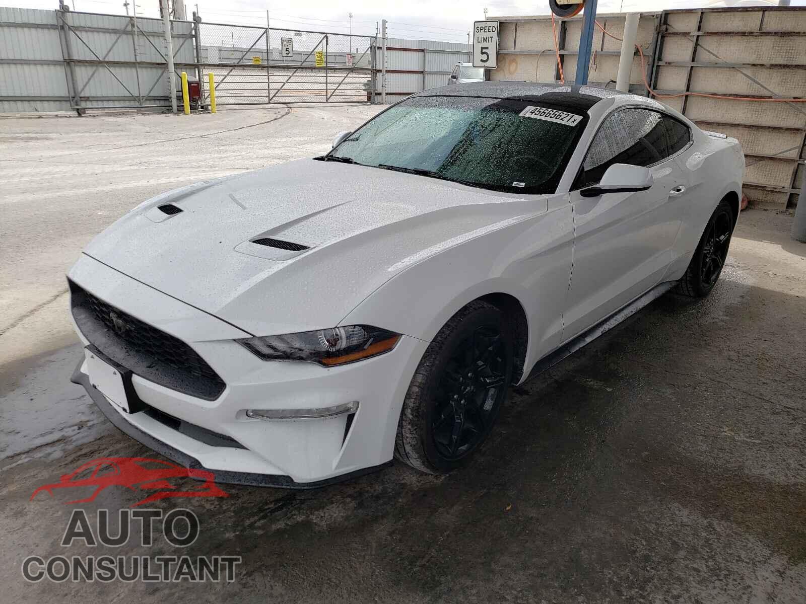 FORD MUSTANG 2019 - 1FA6P8TH2K5143050