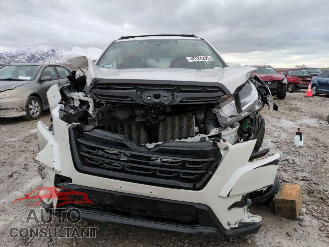 SUBARU FORESTER 2023 - JF2SKAEC6PH495247