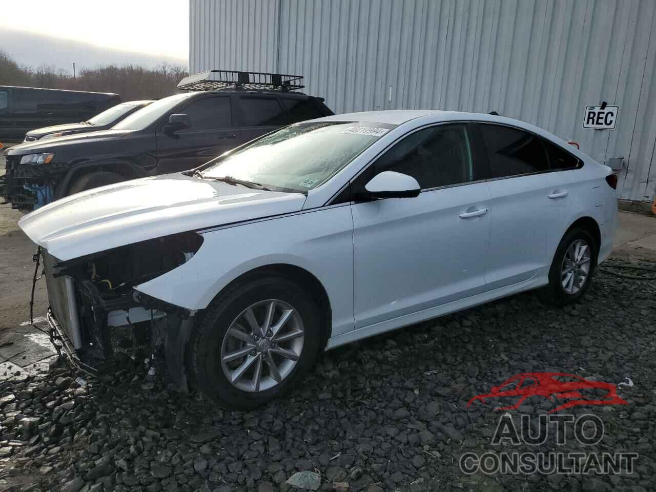 HYUNDAI SONATA 2019 - 5NPE24AF9KH755566