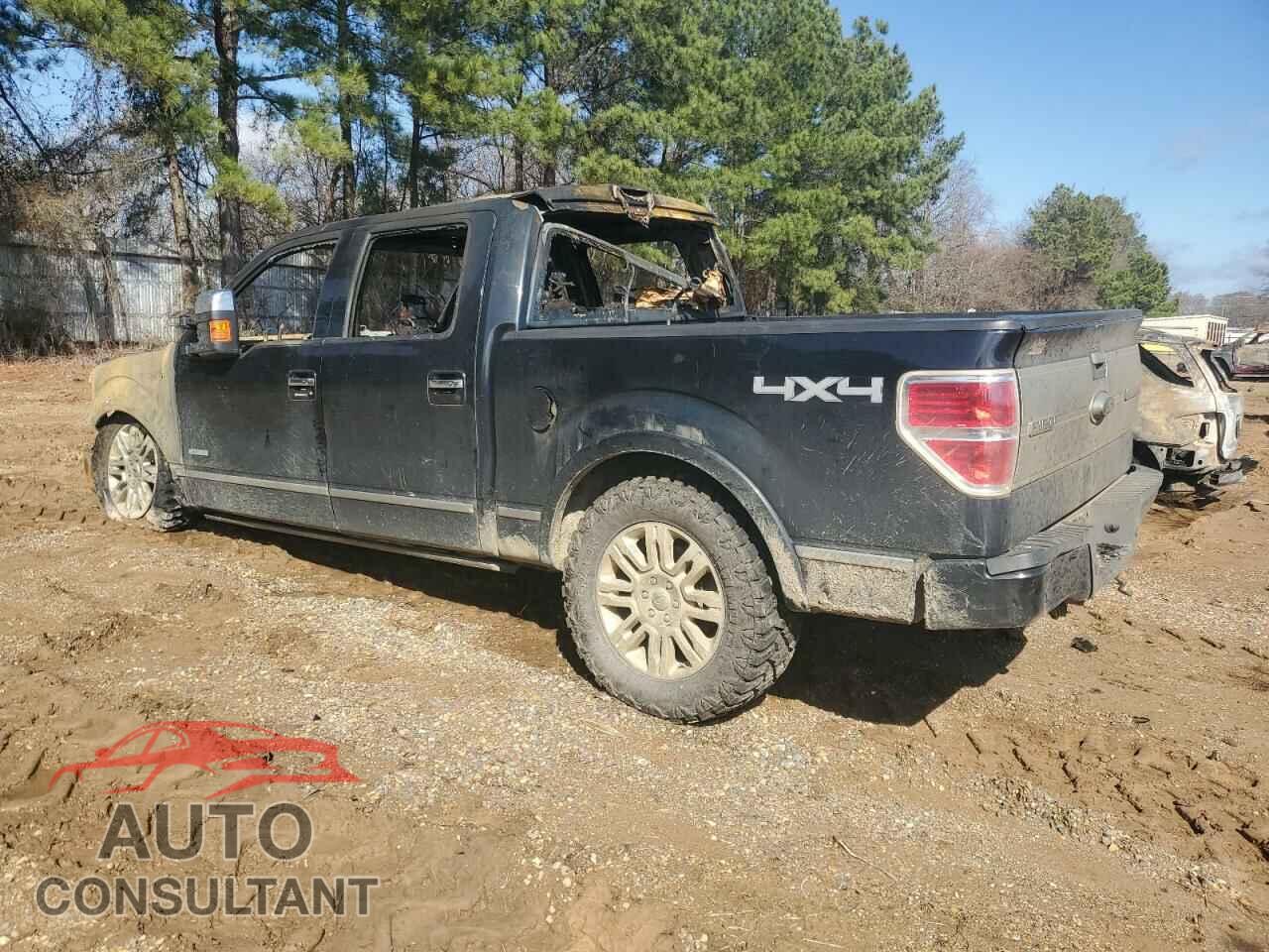 FORD F-150 2014 - 1FTFW1ET2EFA54633