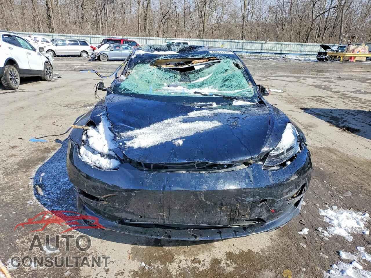 TESLA MODEL 3 2019 - 5YJ3E1EB2KF406509