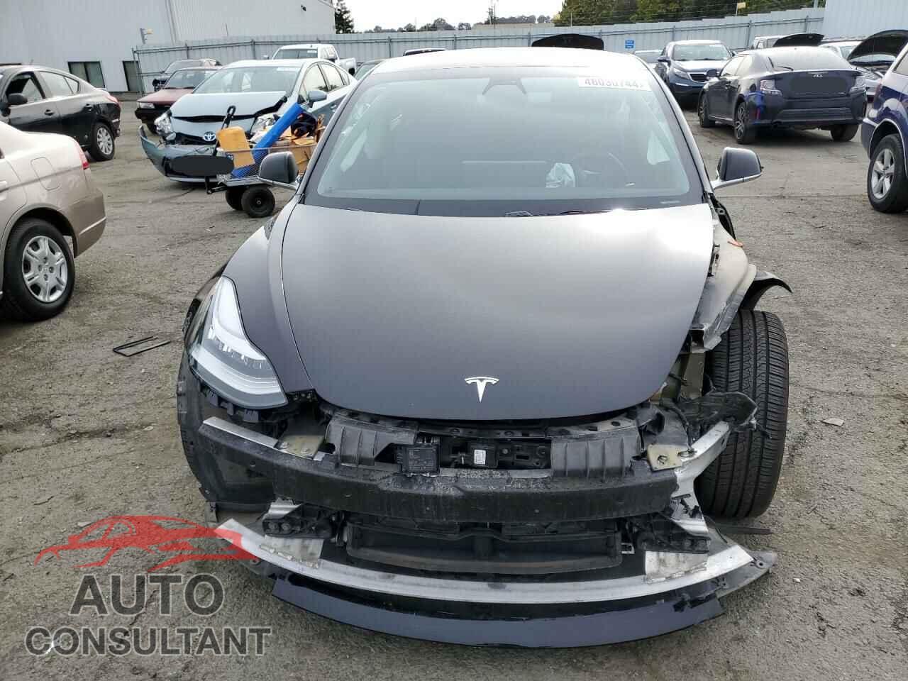 TESLA MODEL 3 2019 - 5YJ3E1EB8KF199043