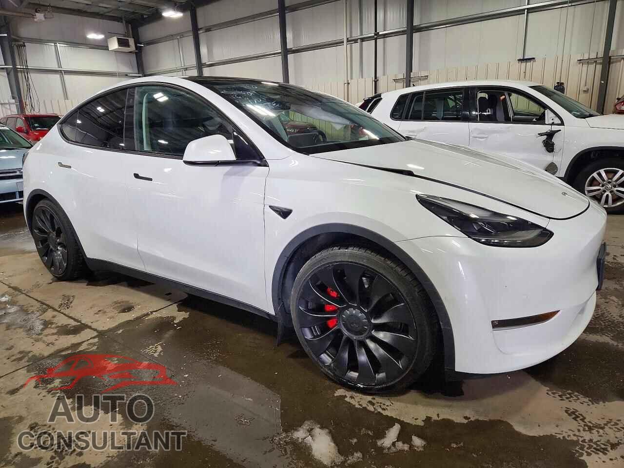 TESLA MODEL Y 2022 - 7SAYGDEF2NF507321